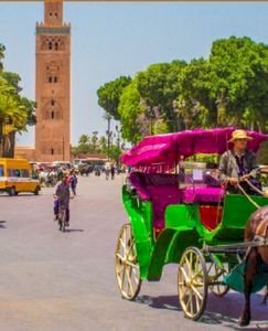 Marrakesz