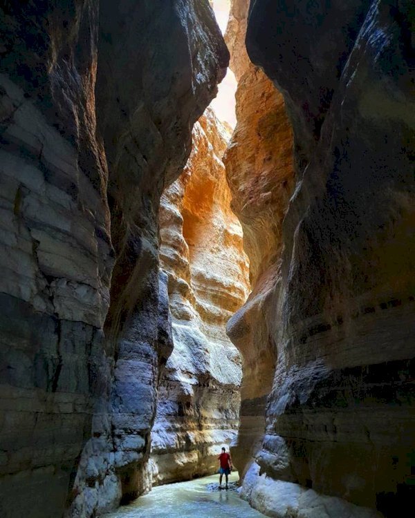 Canyon Langarica